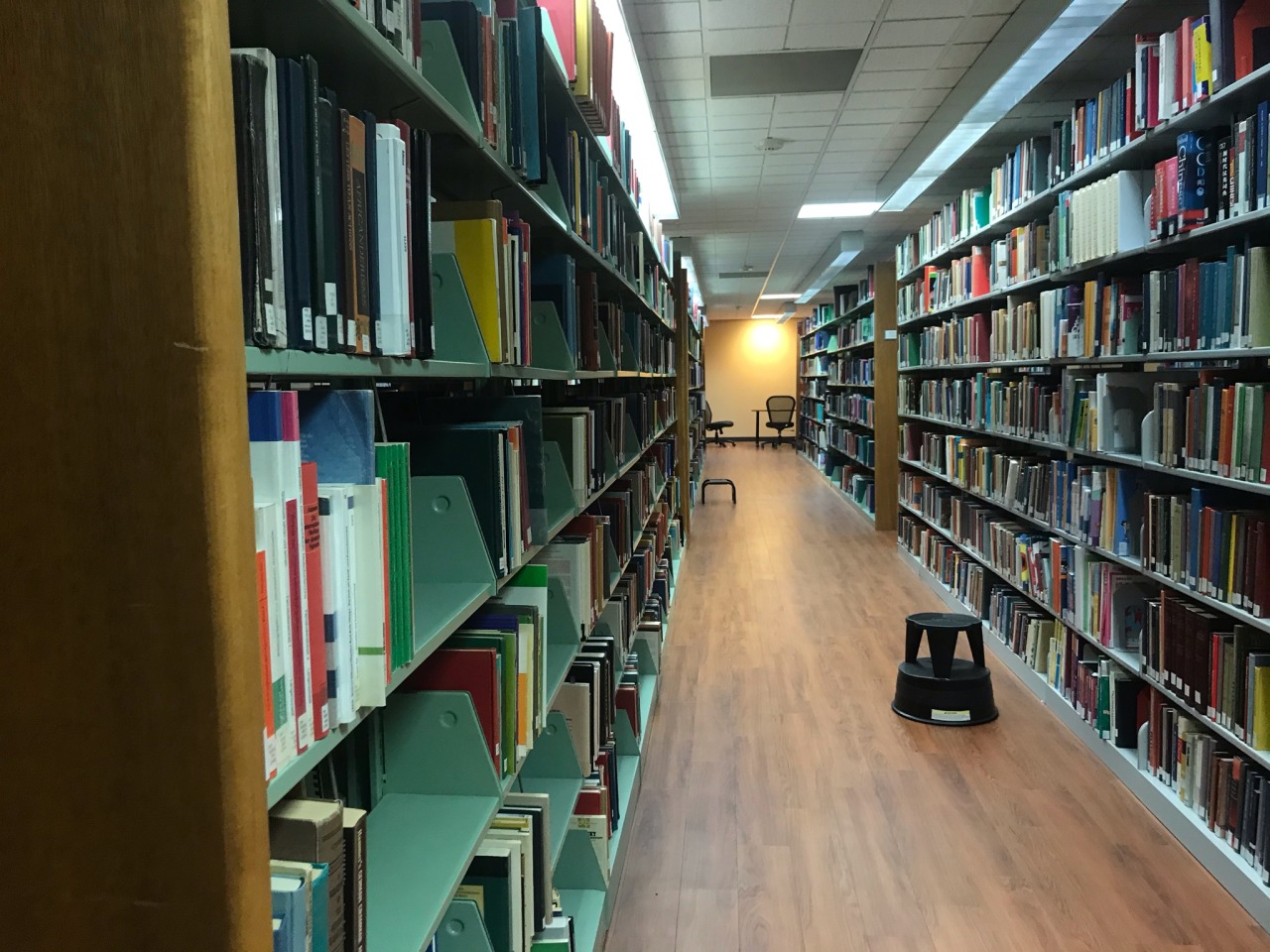 Liminal Spaces — The Torreyson Library at The University of Central...