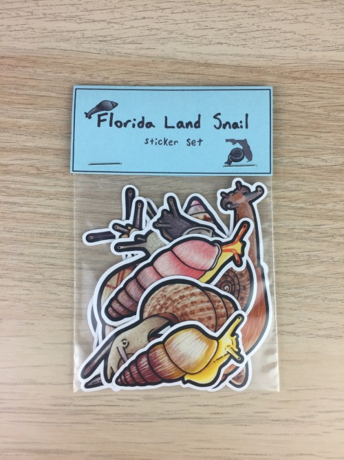 A special Floridian land snail sticker set has been added to my Etsy! All species in this set are ei