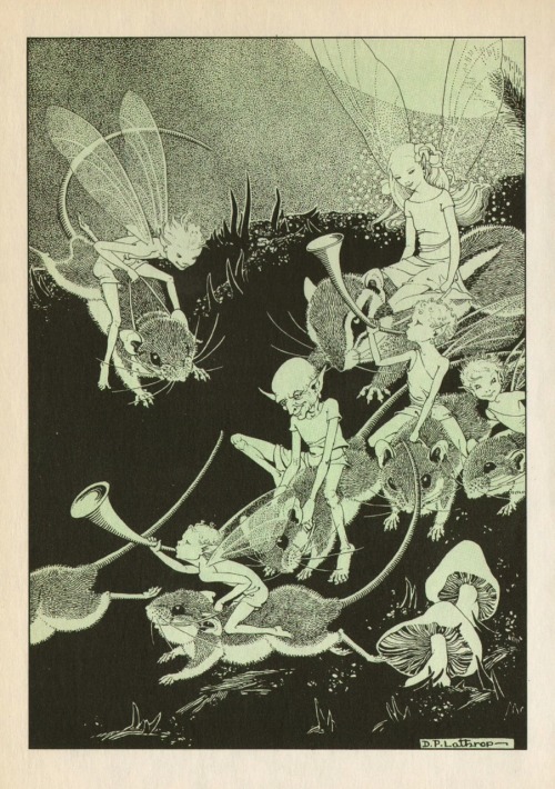 Faery Riders, by Ella Young.Illustrated by Dorothy P. Lathrop.from the series of book “The Chi