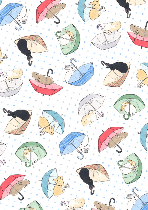 Rabbits and umbrellas