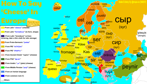 How To Say Cheese In Many European Languages With Word Roots