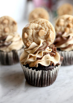 Do-Not-Touch-My-Food:  Chocolate Peanut Butter Cupcakes 