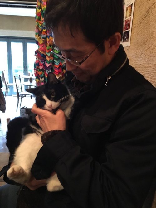 Junji Ito and cat.Source:https://www.facebook.com/junjiitohongkong/photos/a.472274772961852.10737418