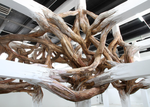 culturenlifestyle:  Twisted Tree Branch Installation by Henrique Oliveira Brazilian artist Henrique Oliveira’s installations often feature a spectacular presence of tree branches overpowering artifice. Titled Baitogogo, the sculpture  seems to be