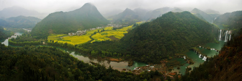 odditiesoflife: Rapeseed Flower Fields, China The stunning yellow landscape features field after fie