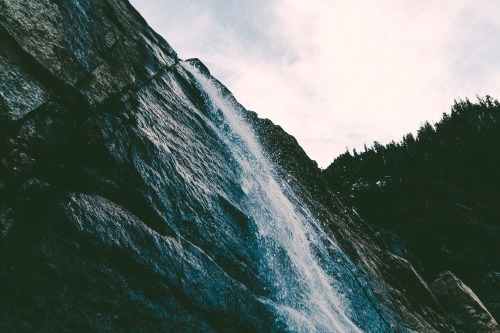 eartheld:  n-c-x:  eartheld:  mostly nature  nature blog  mostly nature
