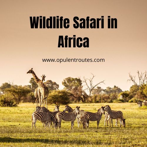 Serengeti & Migration Magic » Wildlife Safari