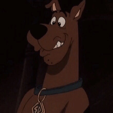 Scooby Doo Aesthetic PFP