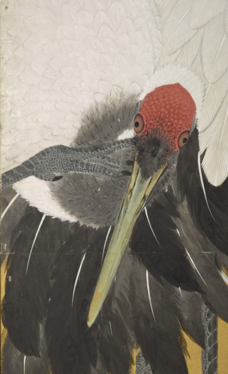 fujiwara57:The cranes (details) of Maruyama Ōkyo 円山応挙(1733 - 1795) ou Maruyama'kyo 