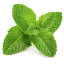 mints2010