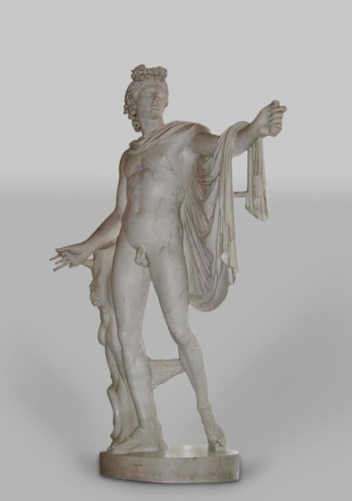 Apollo Belvedere (Italy 17th Century)