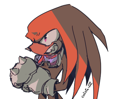 calista-222: Knuckles from Sonic Riders my beloved