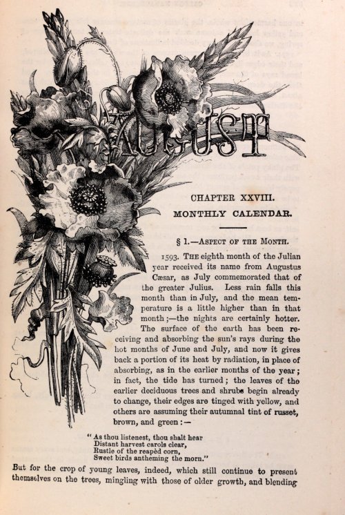 August  from Beeton&rsquo;s Garden Management c1871