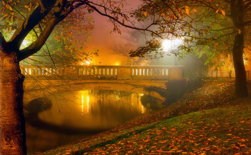 Autumn Mist by Reza-Sina on Flickr.