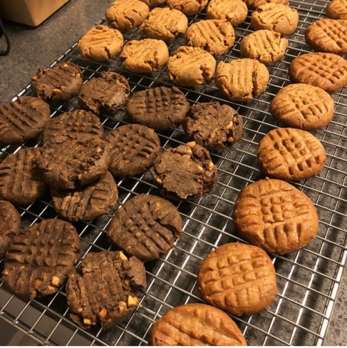 madeleinegettingfit: Hey all, have I got a recipe for you! 3 ingredient peanut butter cookies The in