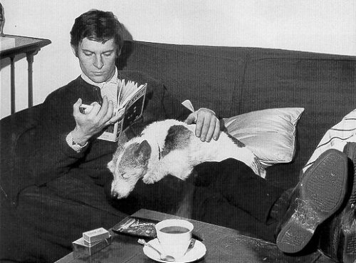 sirarthurconandoilies: Jeremy Brett &amp; Mr. Binks. x