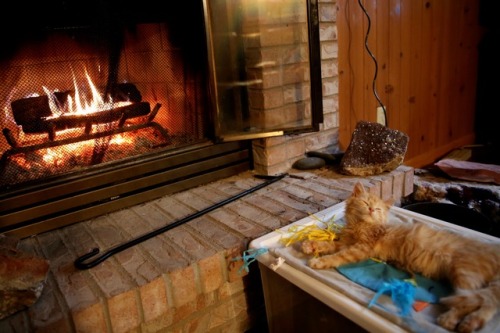 picturetakingguy:warm