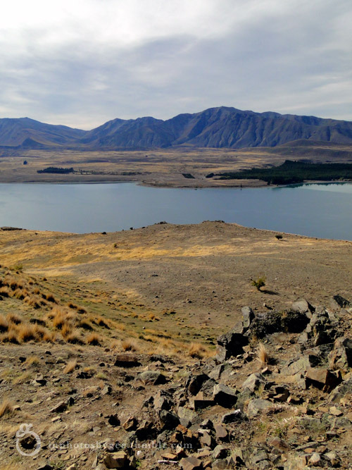 inphotosbygee:  Lake Tekapo and Southern Alps seen from Mount John, Apr 2015
