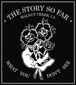 radiicvl:  The Story So Far | What You Don't