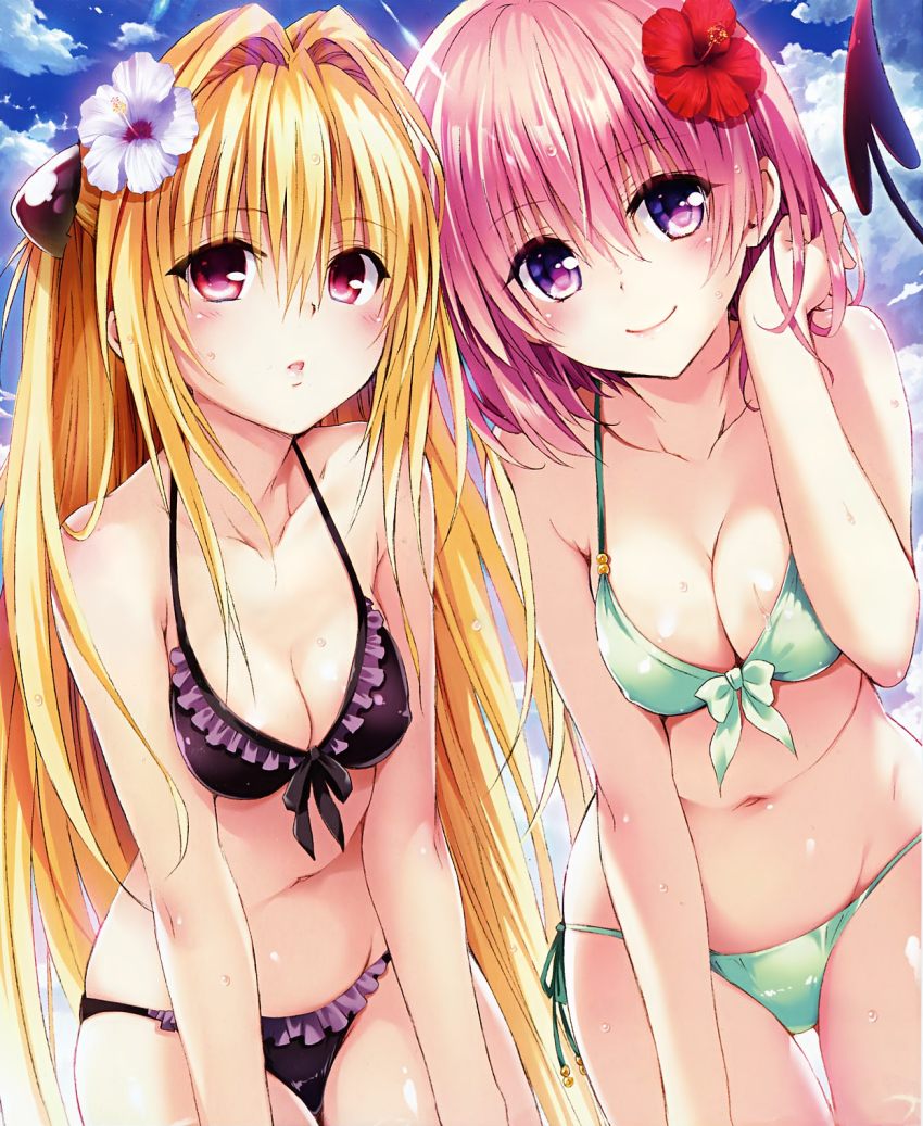 Hentai Ecchi Anime