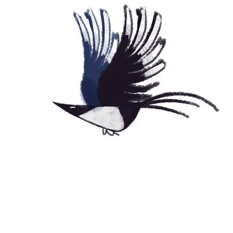 estrelalourenco:Little magpie! The newest member of my Flipbook project! 
