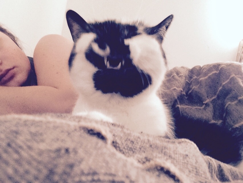 This was the end of a yawn but she looks like she’s sneezing. 