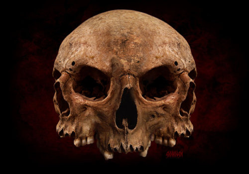 orifice-torture:skulls by akhkham