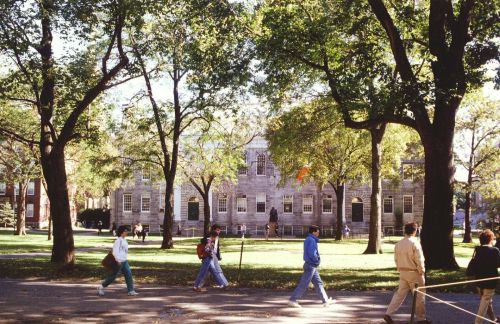 Harvard in the 90s