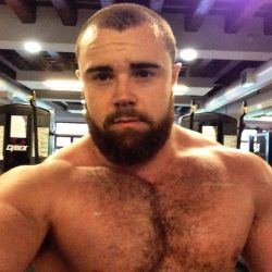 thebearunderground:  The Bear Underground Archive  6500+ posts of the hottest hairy men around the globe. 