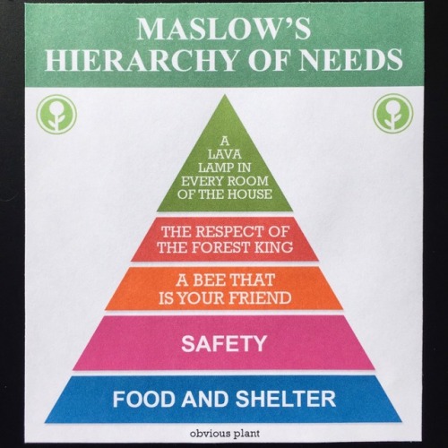 obviousplant:Maslow’s Hierarchy of Needs