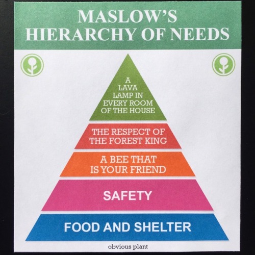 obviousplant: Maslow’s Hierarchy of Needs