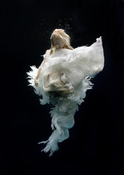 Leslieseuffert:  Zena Holloway - Angels 