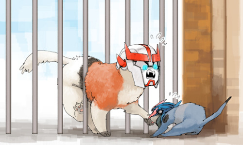 akahlto:fluffy fluffy…(collected cats) I am sad when I think about Breakdown cat….(;.;)全員分描きたいのは山々です