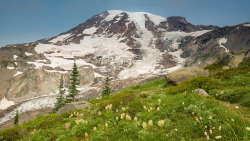 90377:    Mt. Rainier by remonstrate  