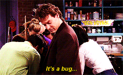 friends gifs
