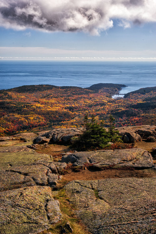 Water ViewsAcadia NP, MaineMinolta MD 35-70mm lens on Sony A7