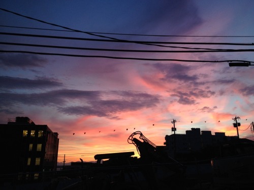 thedailyseattleite: 8/10: Sunset gorgeousness