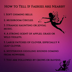 wiccateachings:  Wiccans believe in Faeries, we call them The Fae. Summer is the time when nature comes alive and the Sprites of Nature are most active. It is the time when Faeries are most likely to be seen. Faery folk, or the Fae, are an ancient race