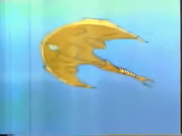 881d8cd3aa5f7086b55b0bc798841bfcb0843e30.gifv