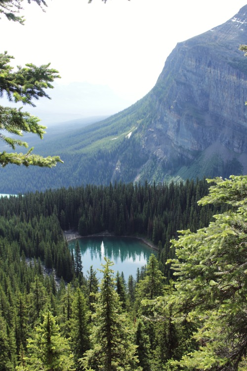 Little lake from overhead.On a hike around Lake Louise, Alberta.