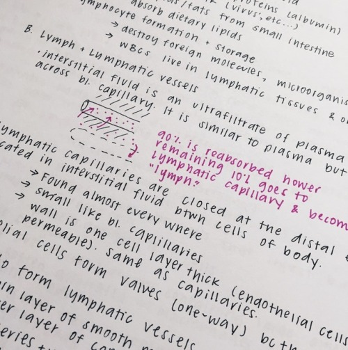 October 14, 2018 Studying for anatomy. I’m really nervous for the exam even though I aced the last l