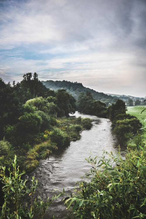 expressions-of-nature:  and life doesn't stop for anybody : ivvy million