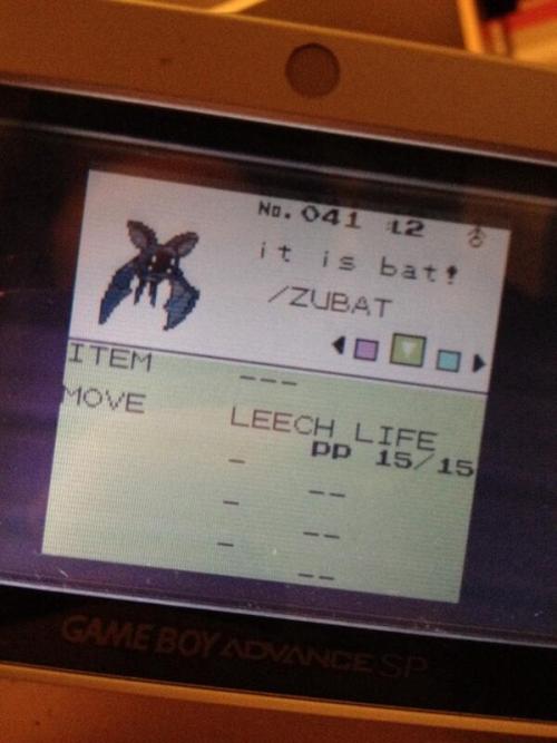 markjl:  i bought pokemon crystal online from someone and their nicknames are possibly the greatest nicknames i have ever encountered 