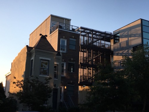 Catching the evening On the sides of buildings Bleeding through the grates.