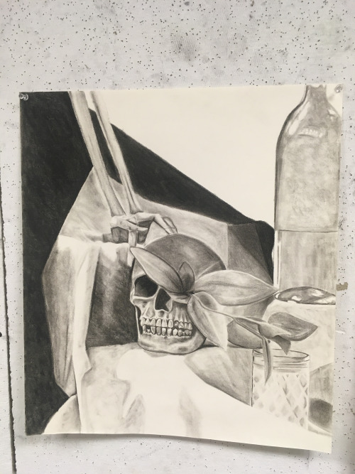 Now that it’s over, here are some of my favorite projects from my Drawing class this semester! Our f