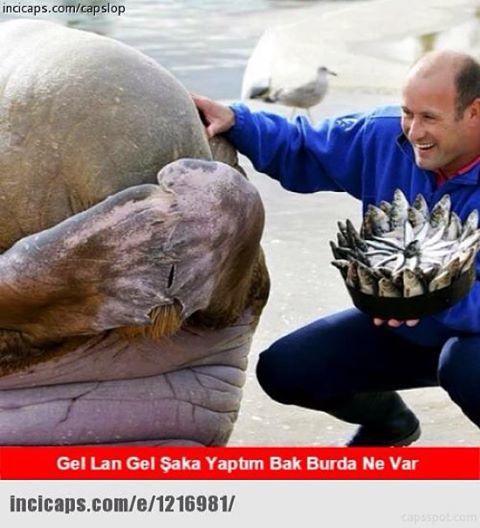 Gel lan gel şaka yaptım...