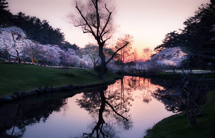 nevver:  Your moment of Zen, Hidenobu Suzuki 