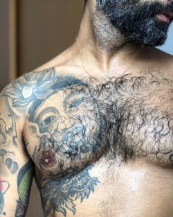 hugoajm:Pelo, sudor, pezón, barba, tattoos…
