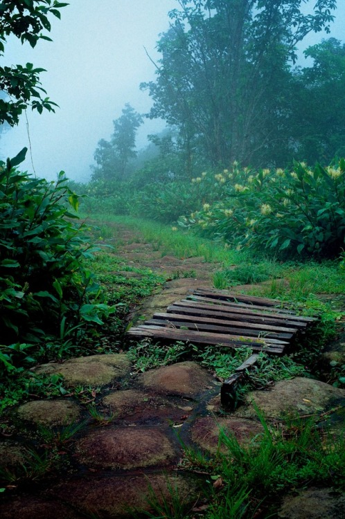 expressions-of-nature:Phetchabun, Thailand by norsez Oh