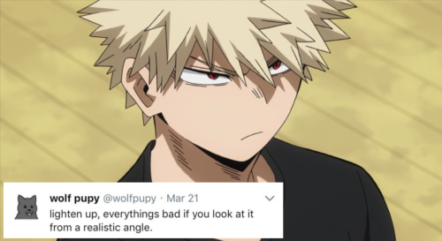 thylovelylionheart: correctbnha: bakugou but wolfpupy tweets @an-assortment-of-forks